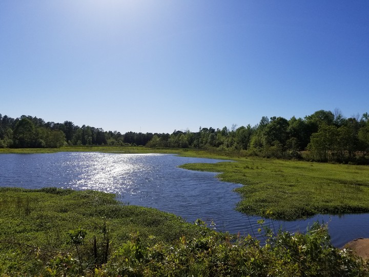 Twin Lake, Petal, MS