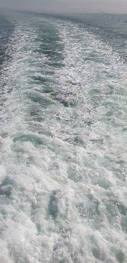 a sea trip by ferry