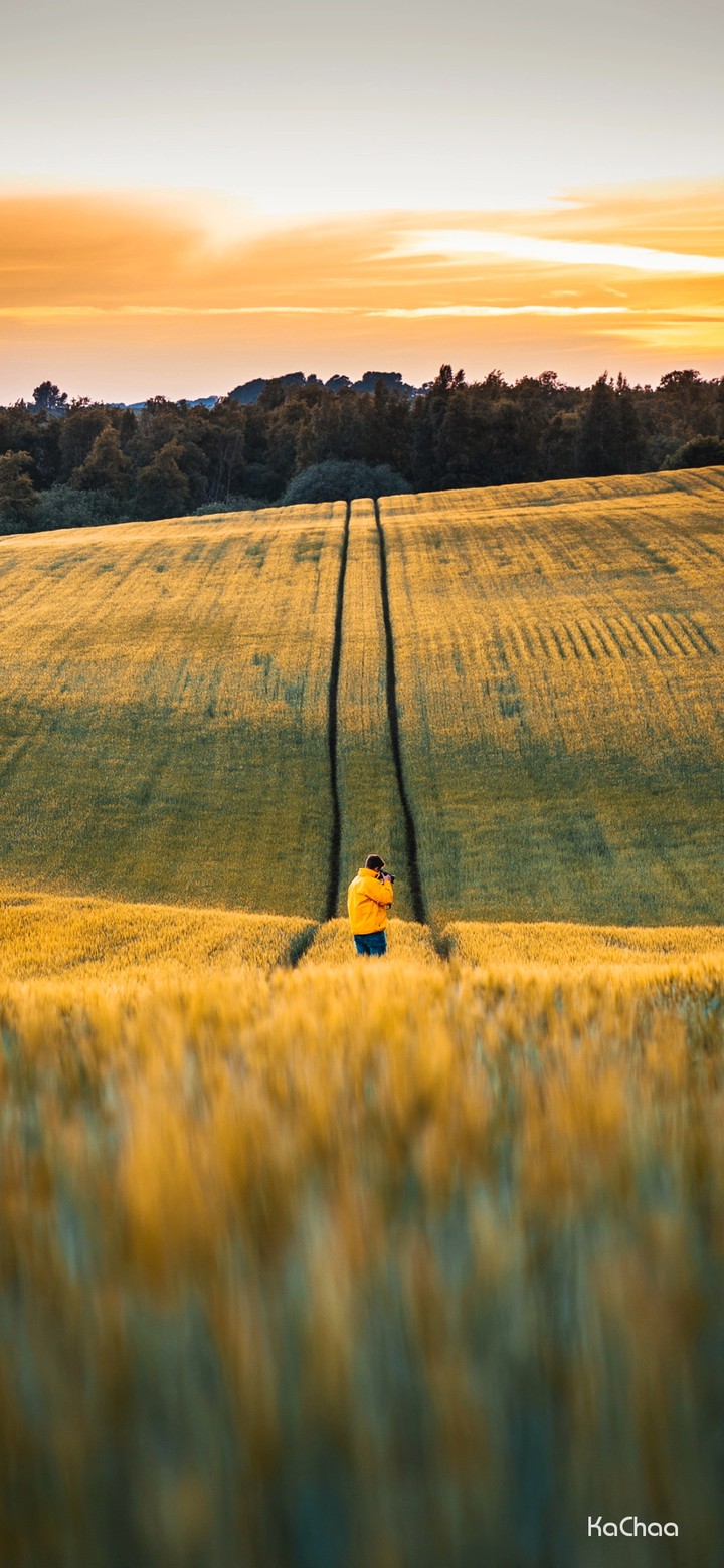 Nature love