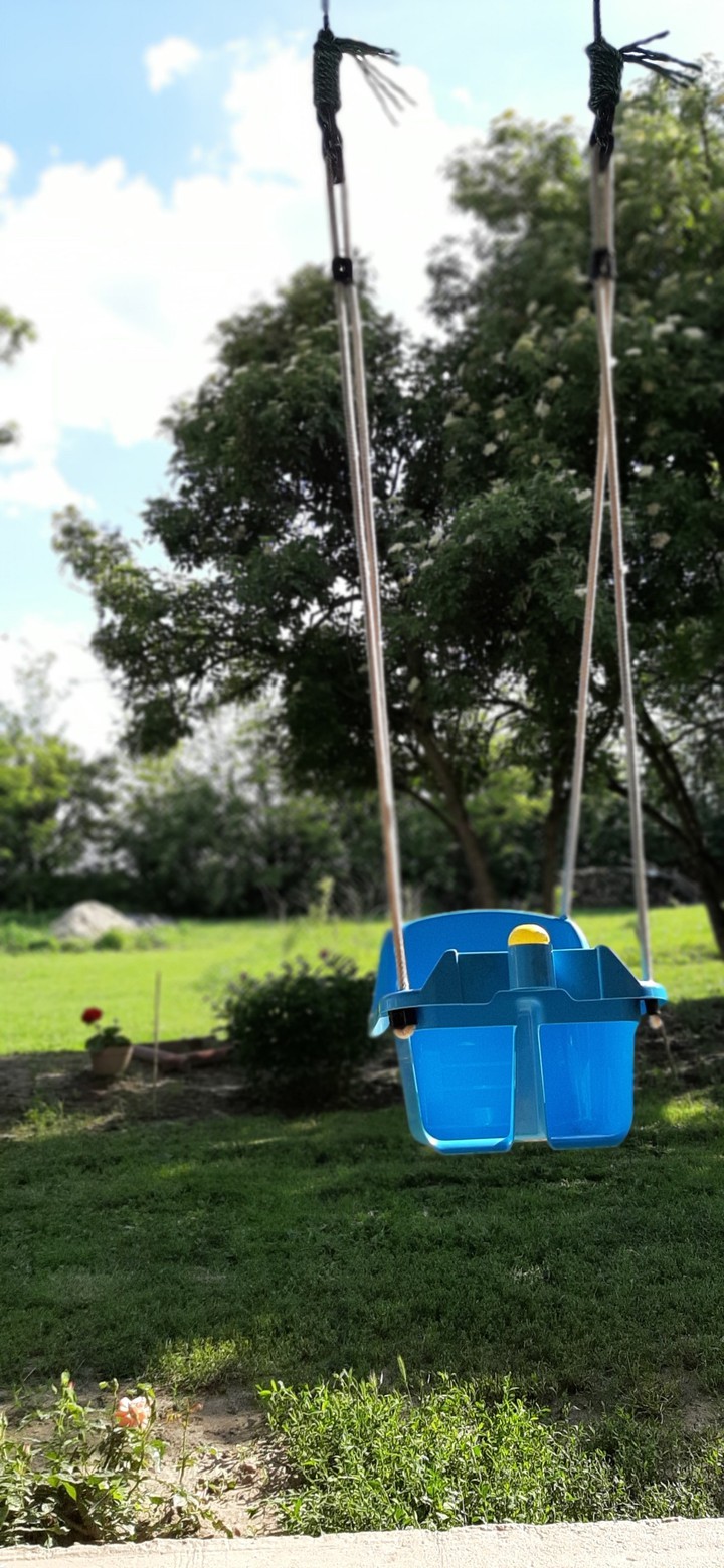 ShinySwing