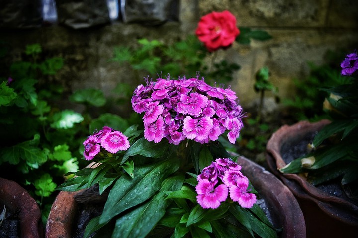 Nature's production