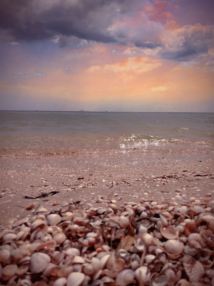 море