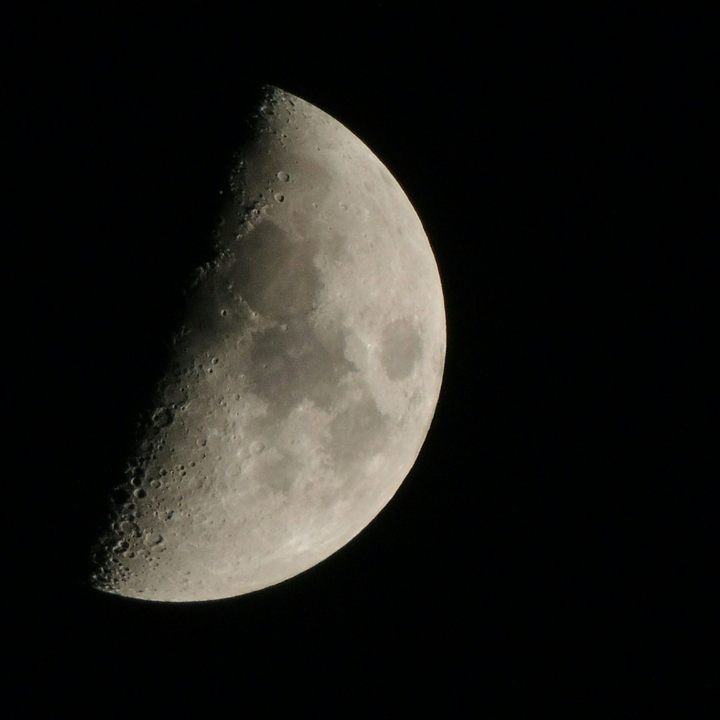 Moon (original )