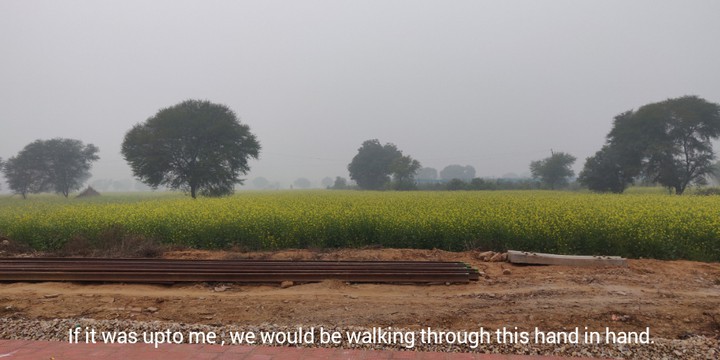 farm