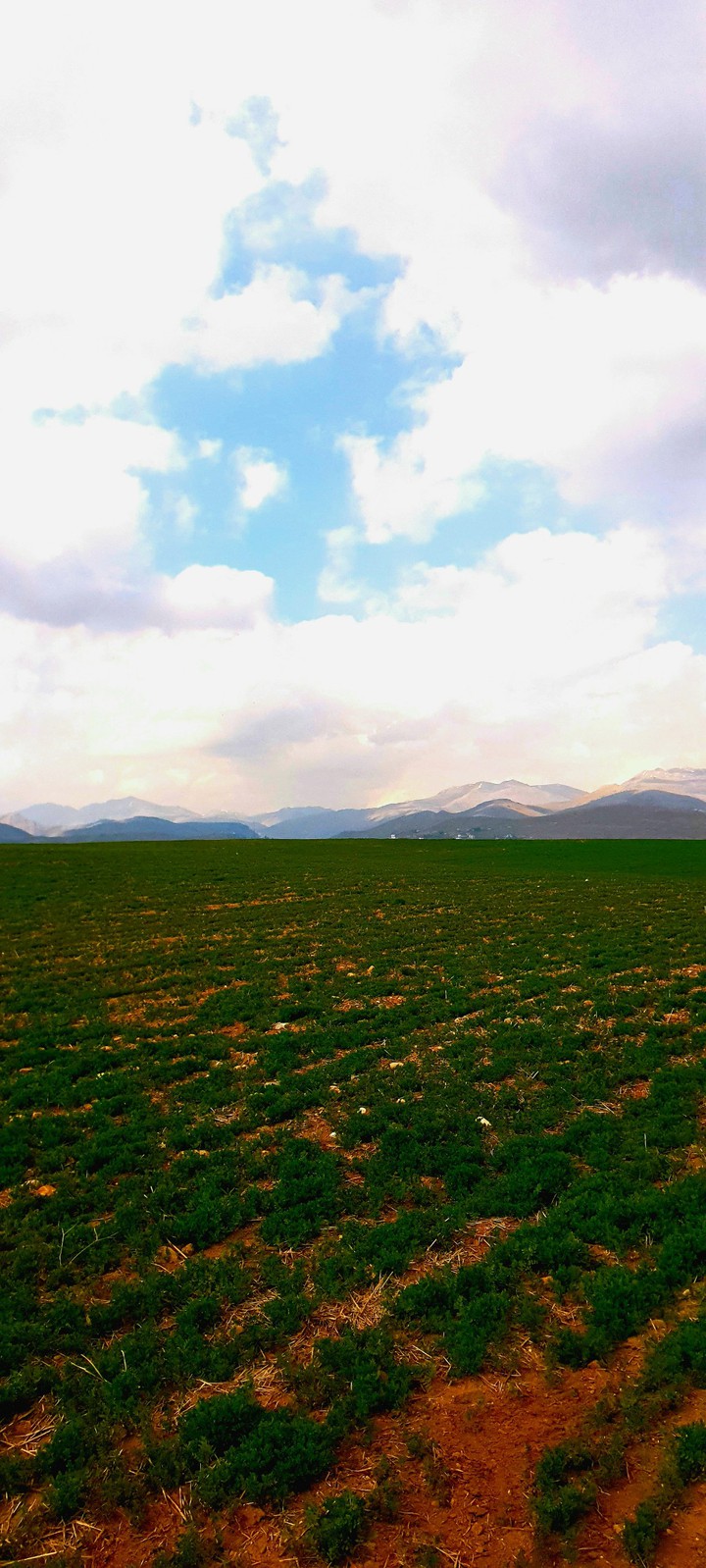 Kumlupınar