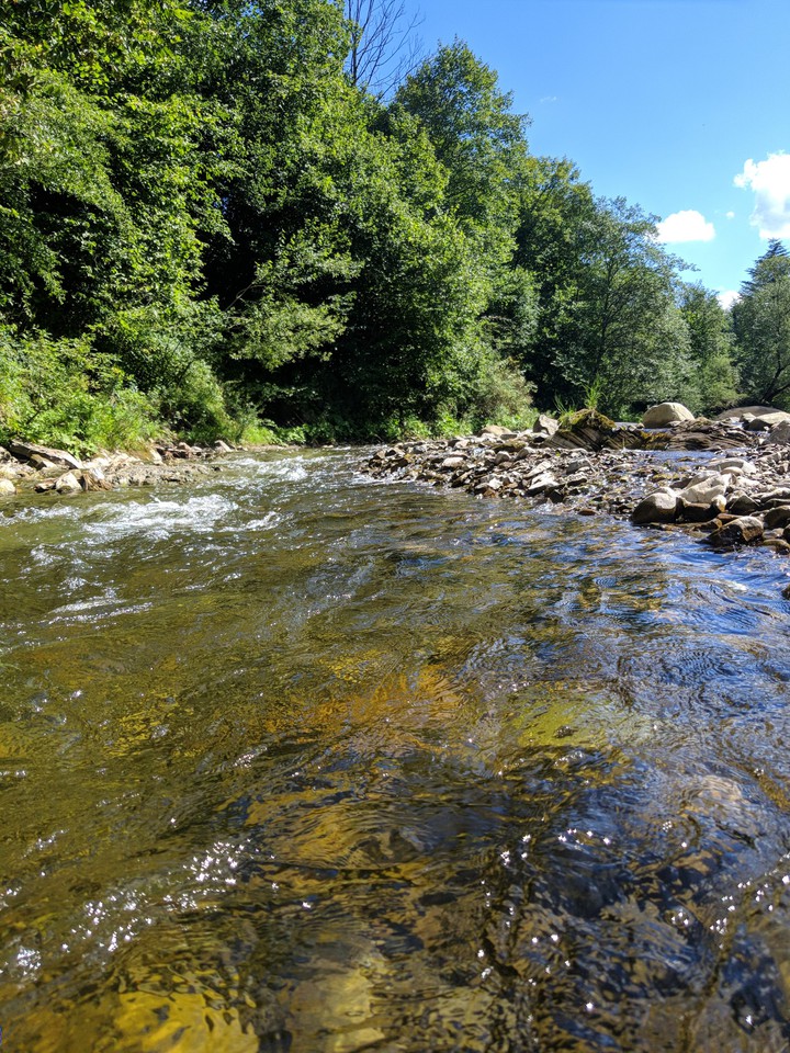 Carpathian river Ukraine