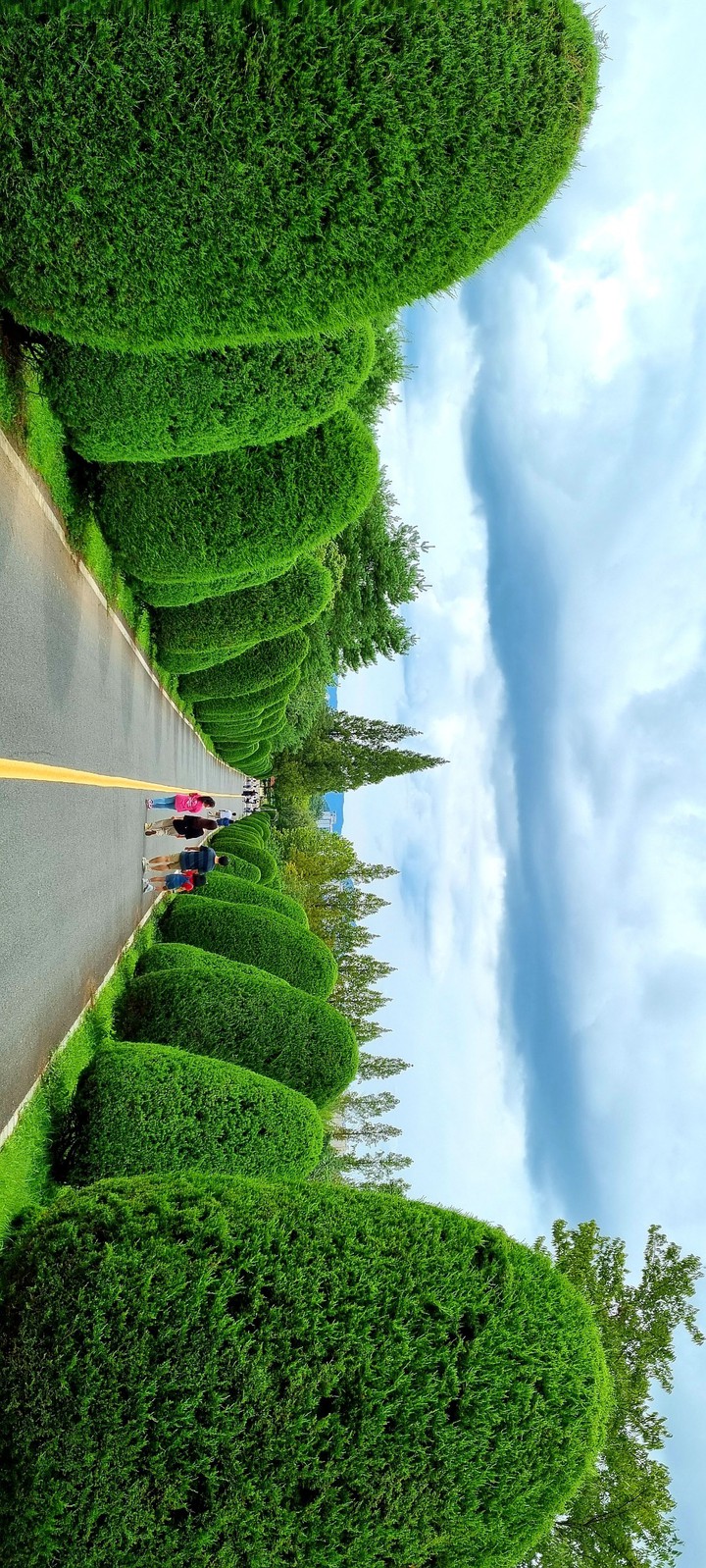 풍경