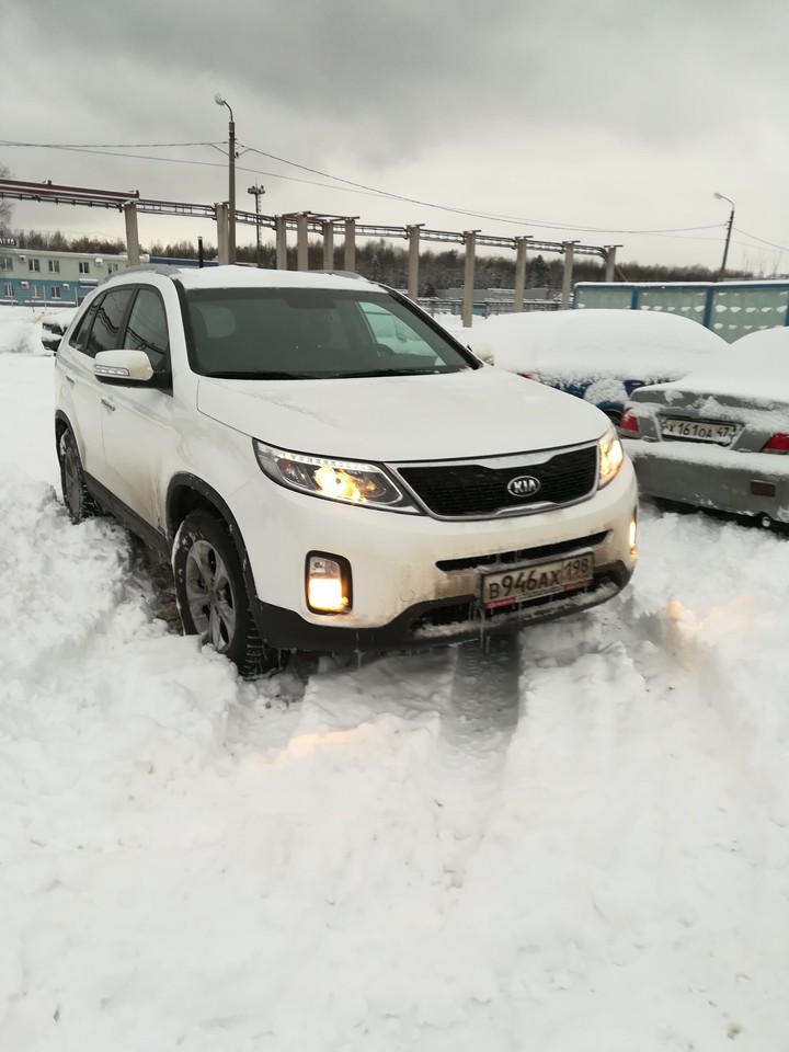 любимка