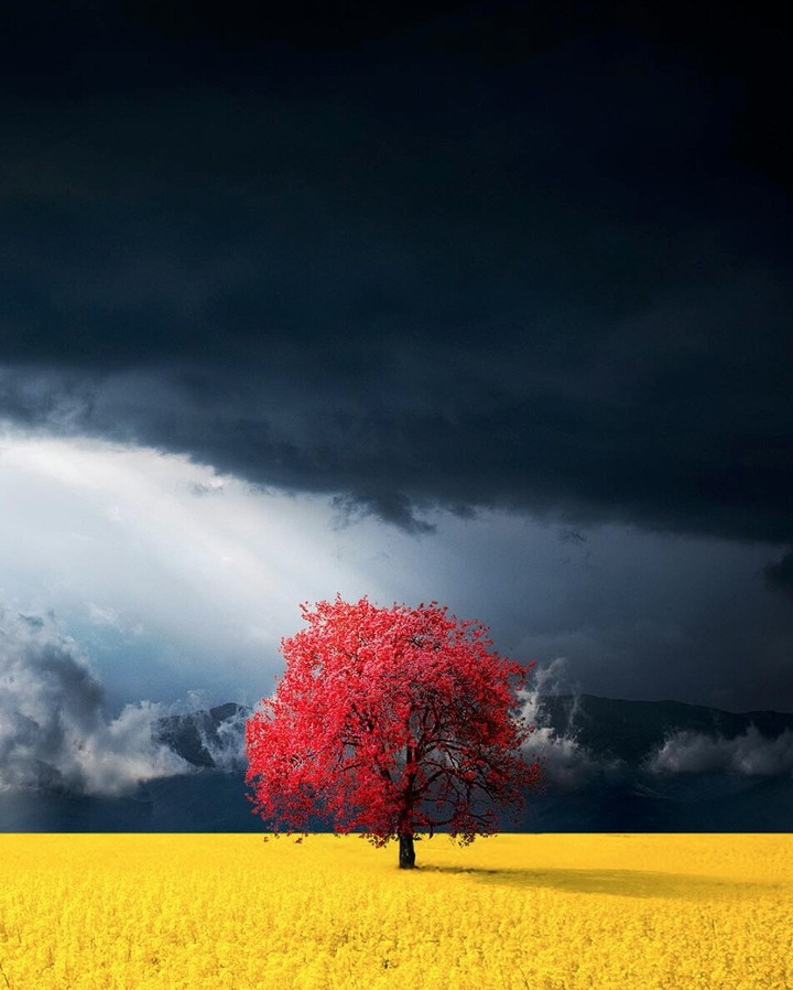 Red >< Yellow