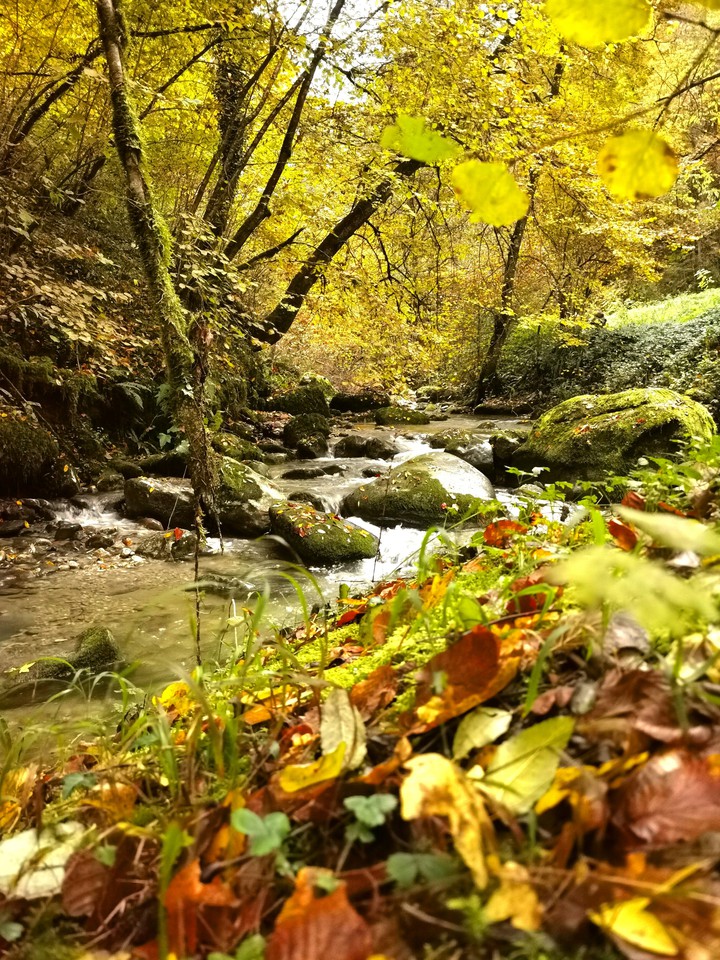 Un dimanche après midi