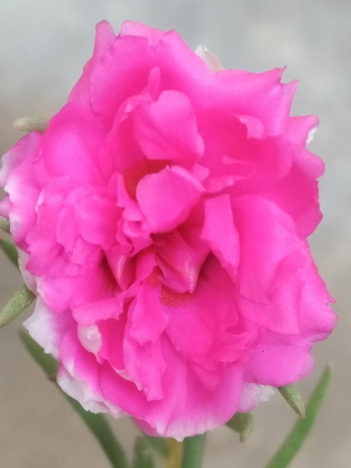 Beautiful nature & its creation