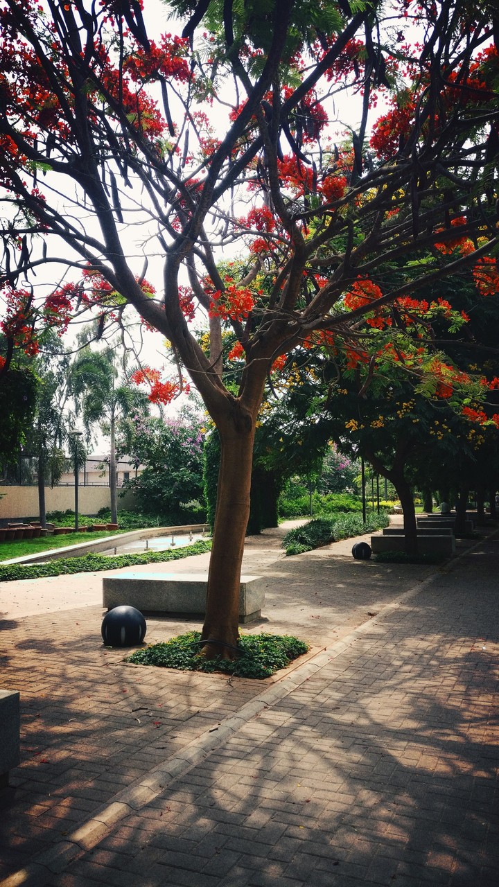Nature of concrete