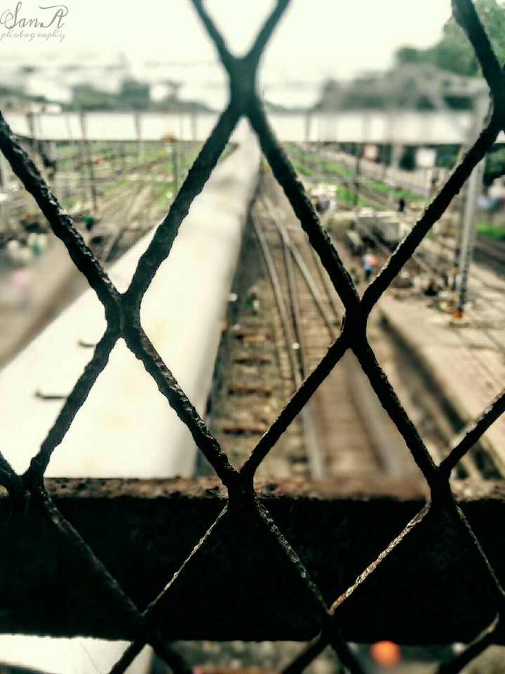 fence