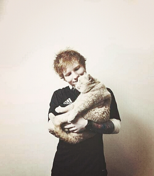 ed