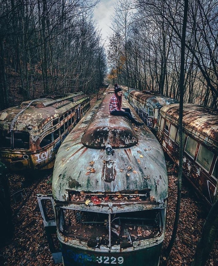 the ruins