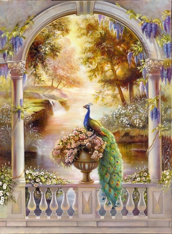 peacock