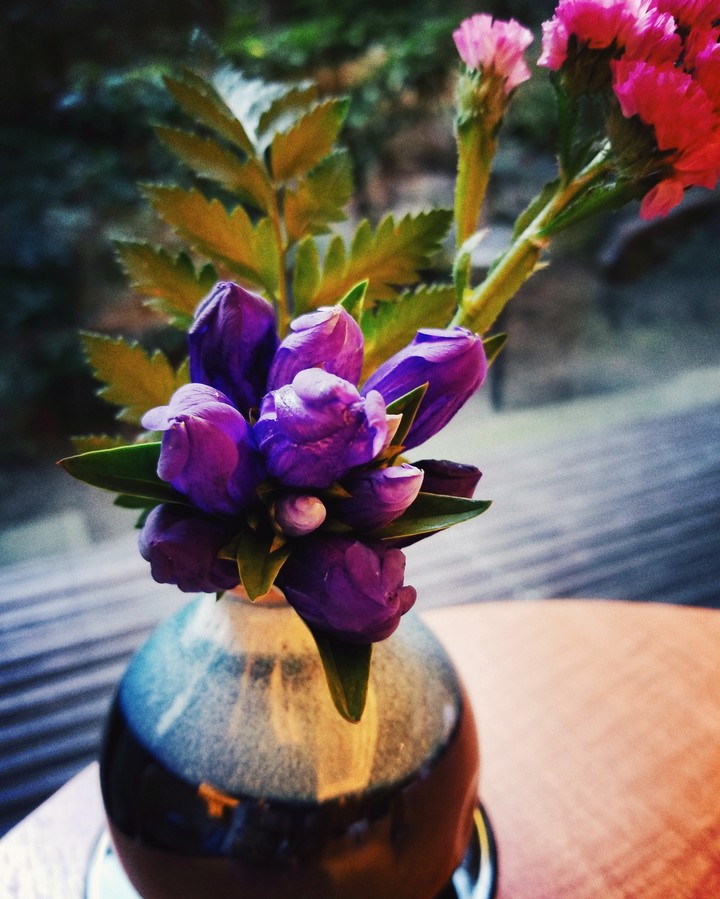 flower