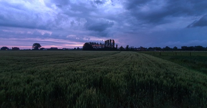 Wheatfarm Kruisem