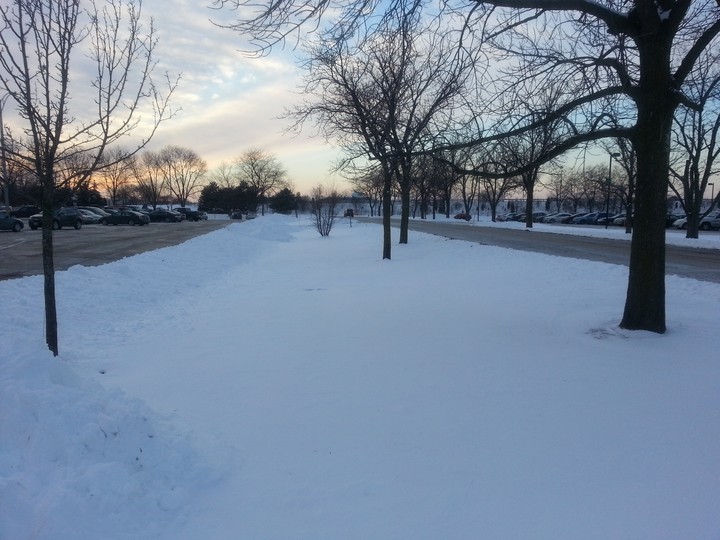 Snowfield