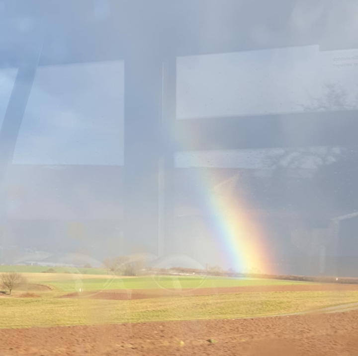 Regenbogen