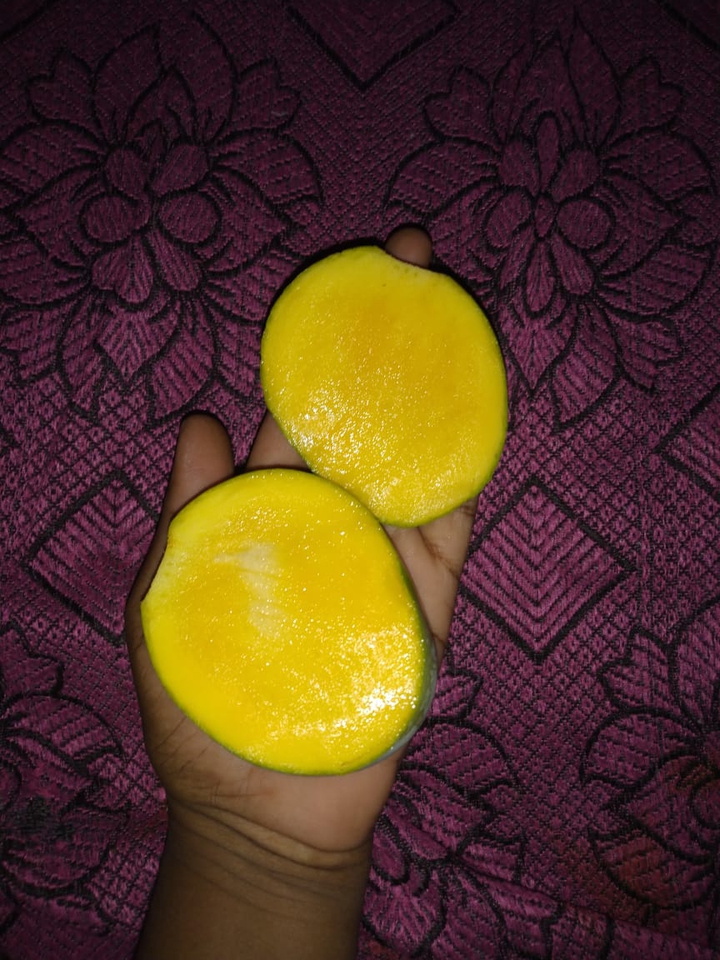 Mango