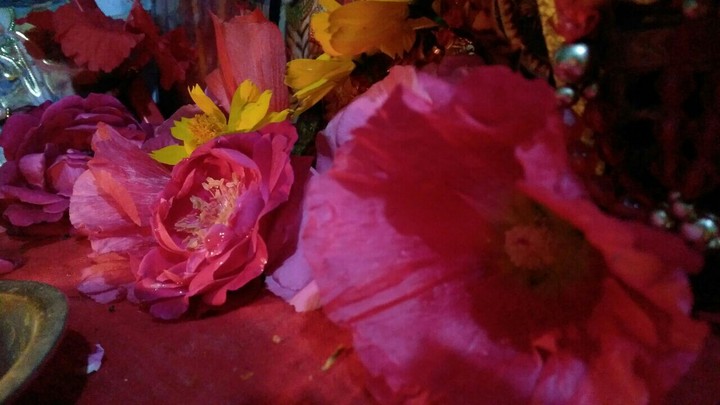 flower