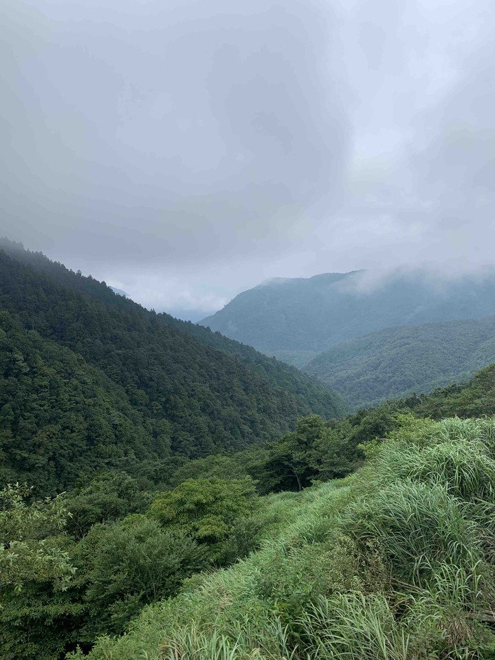 foggy mountain