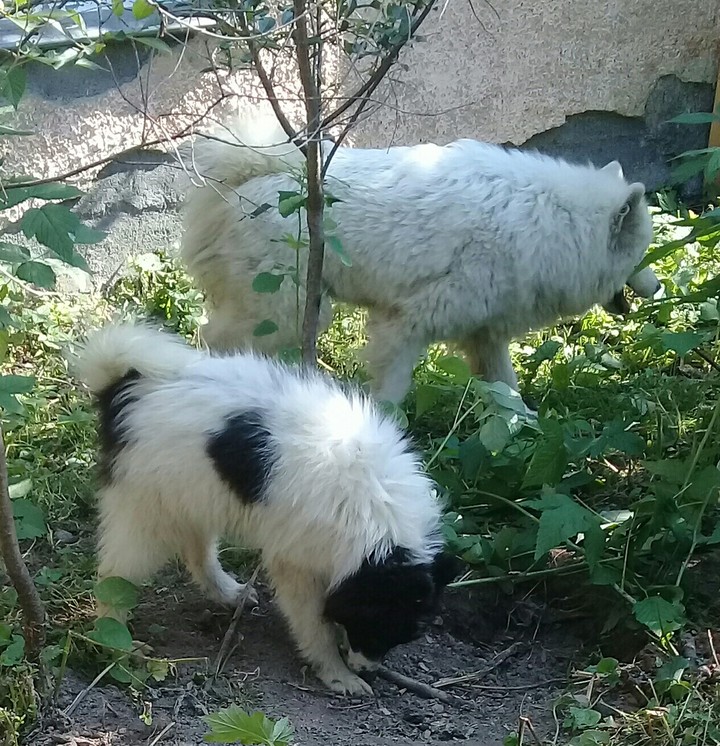 На прогулке.
