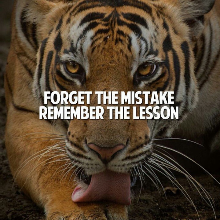 Learn from your mistake...