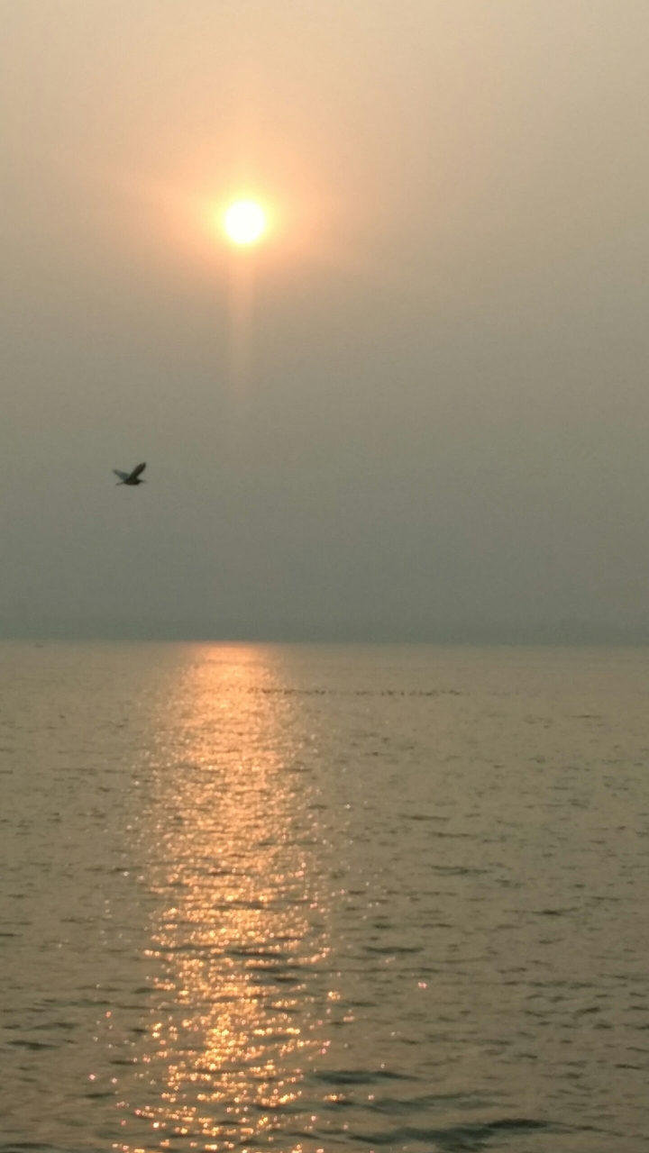 sunrise