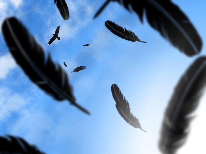 plume de corbeau