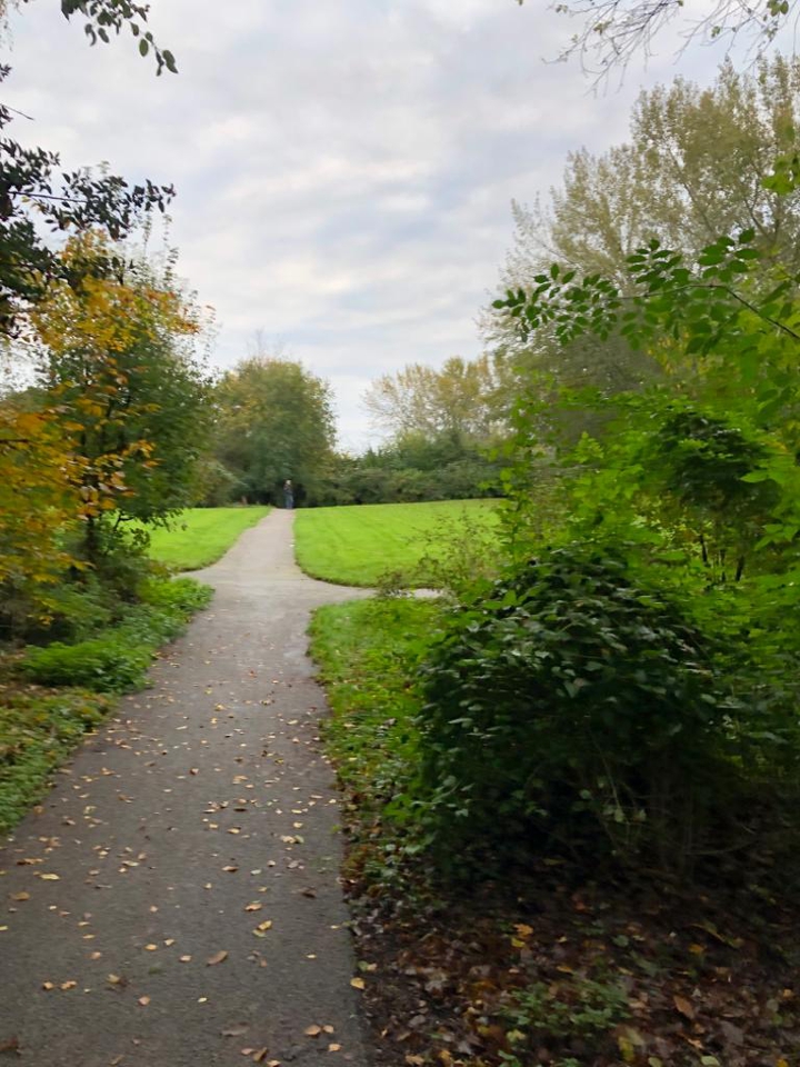 park