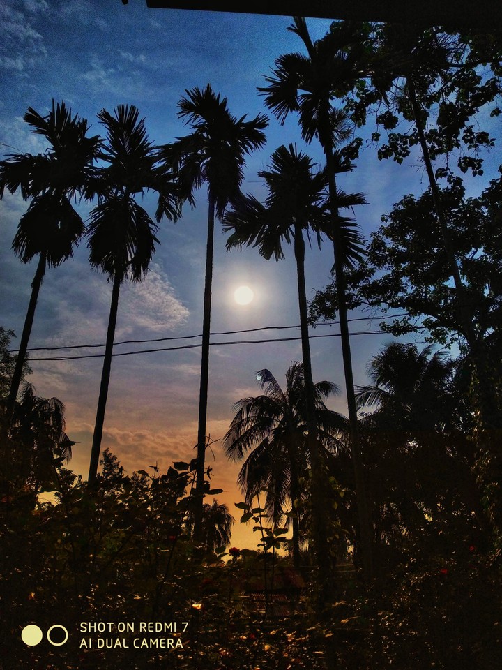 scene from my home