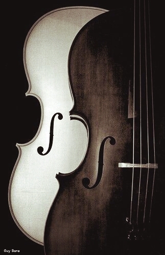Violin