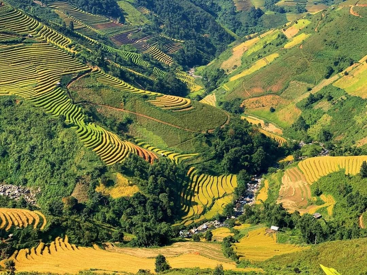 Highlands - Vietnam