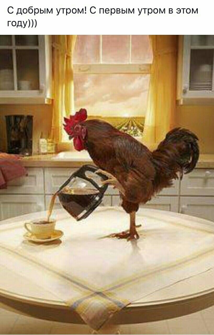 2017-rooster