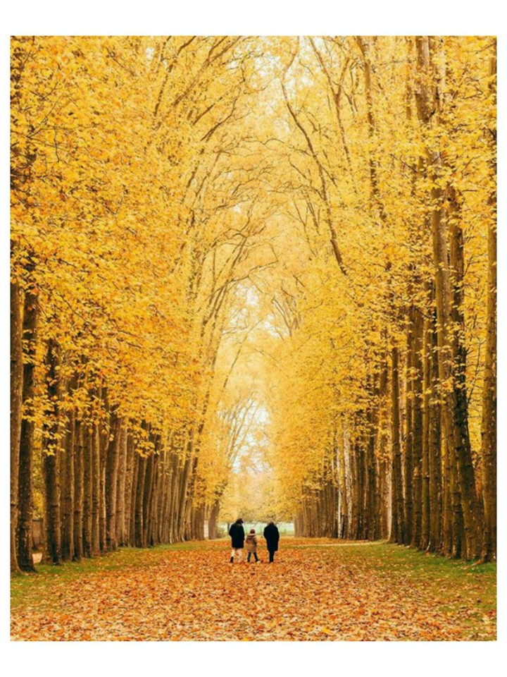 the beauty of autumn in paris