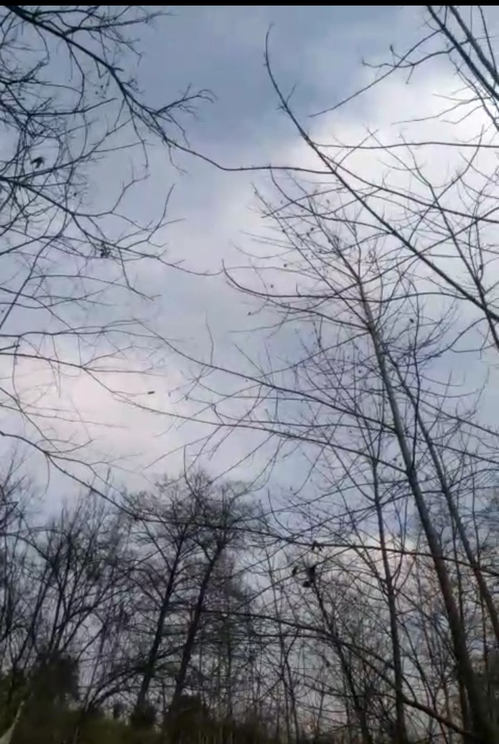 sky the blue