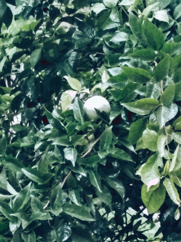 raining