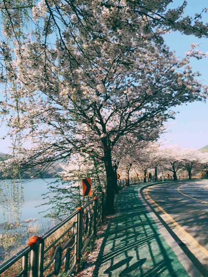 Real Photo