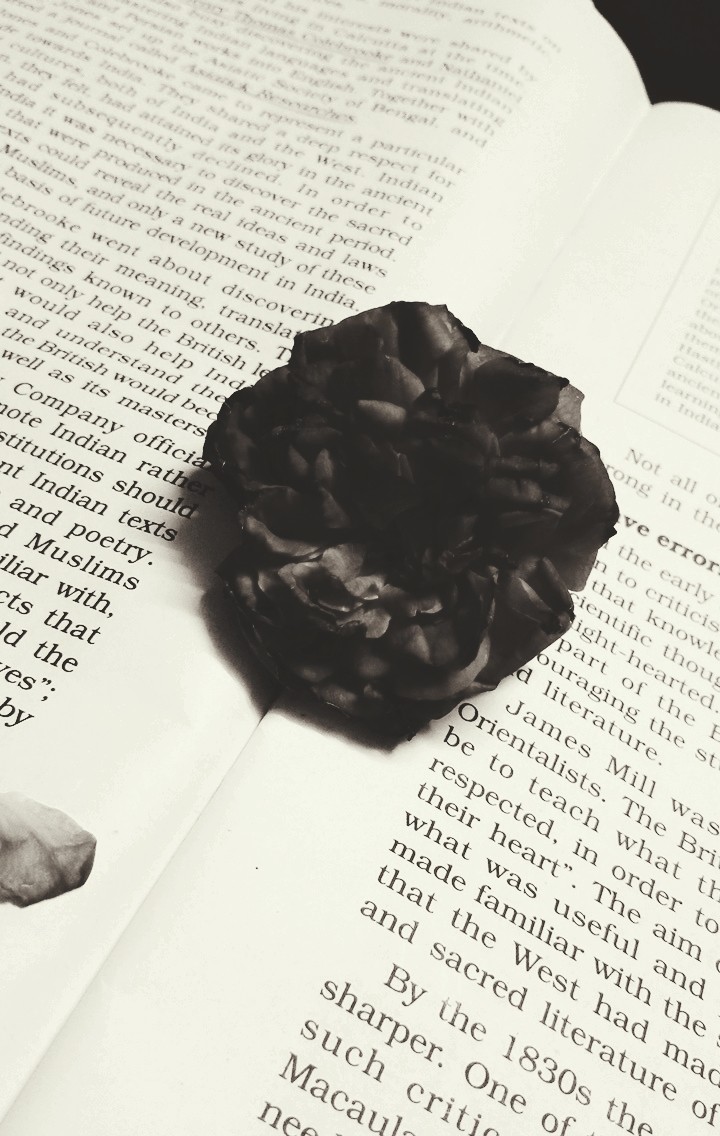 Book