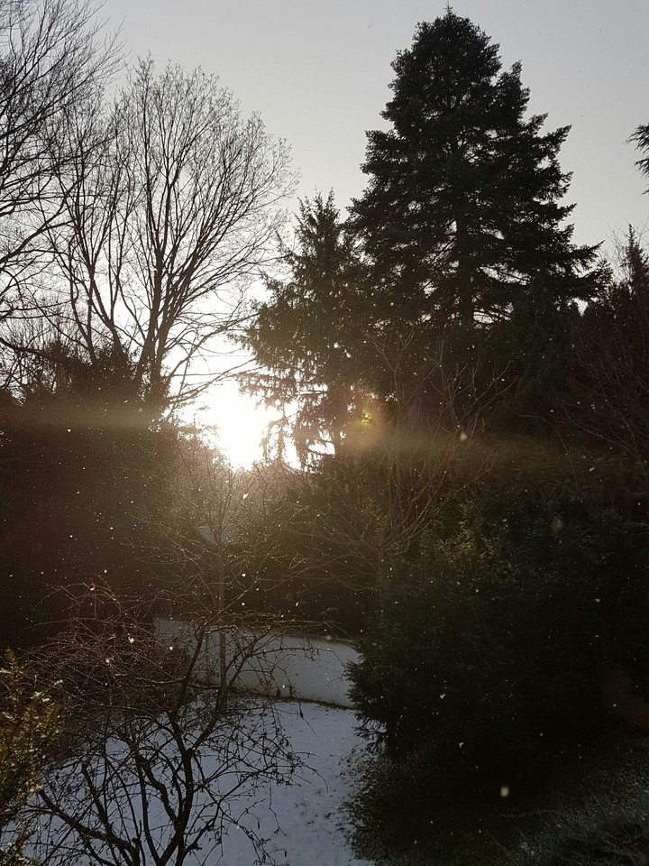 Sun and Snow