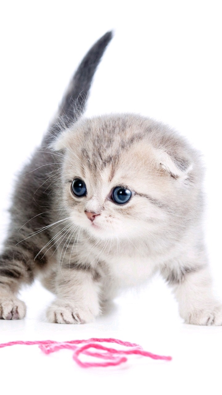 cuteness