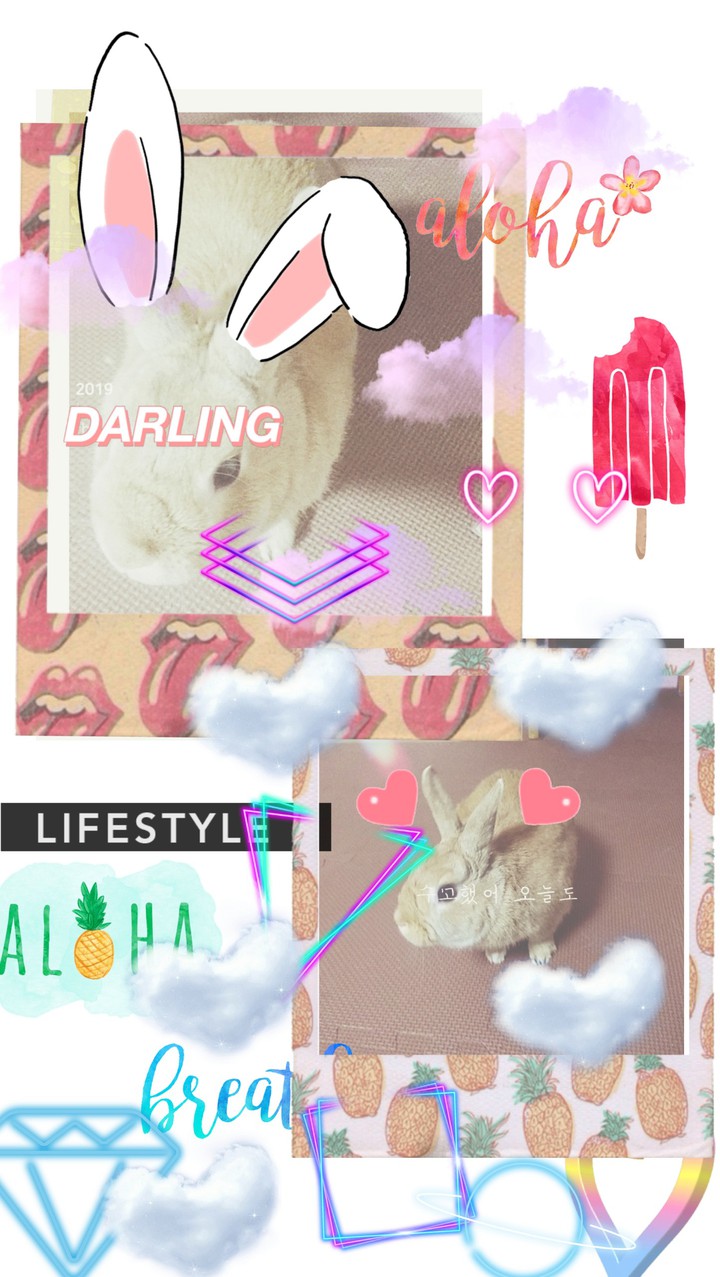 ♥♥♥♥♥