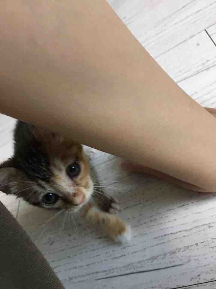 ❤️