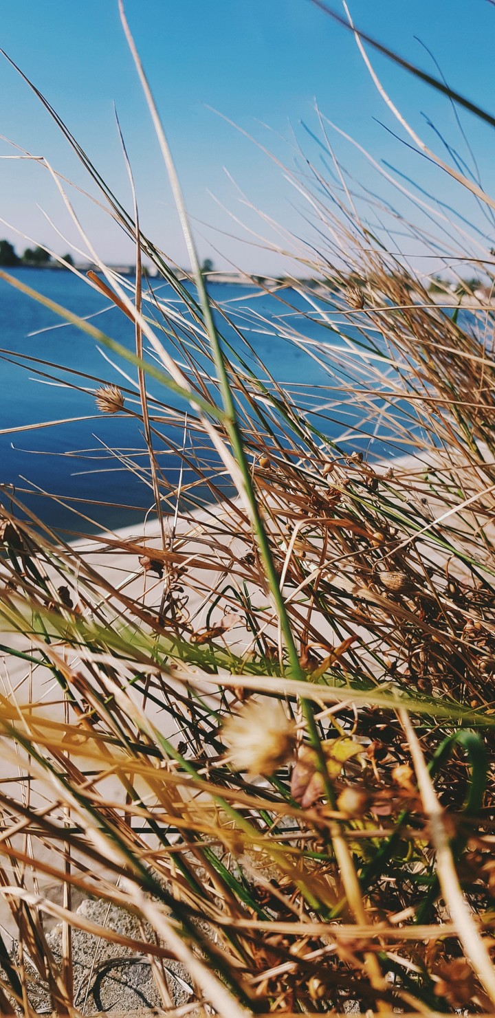 water anf nature