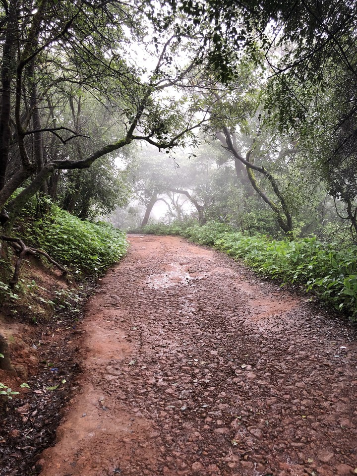 Walk through the heaven