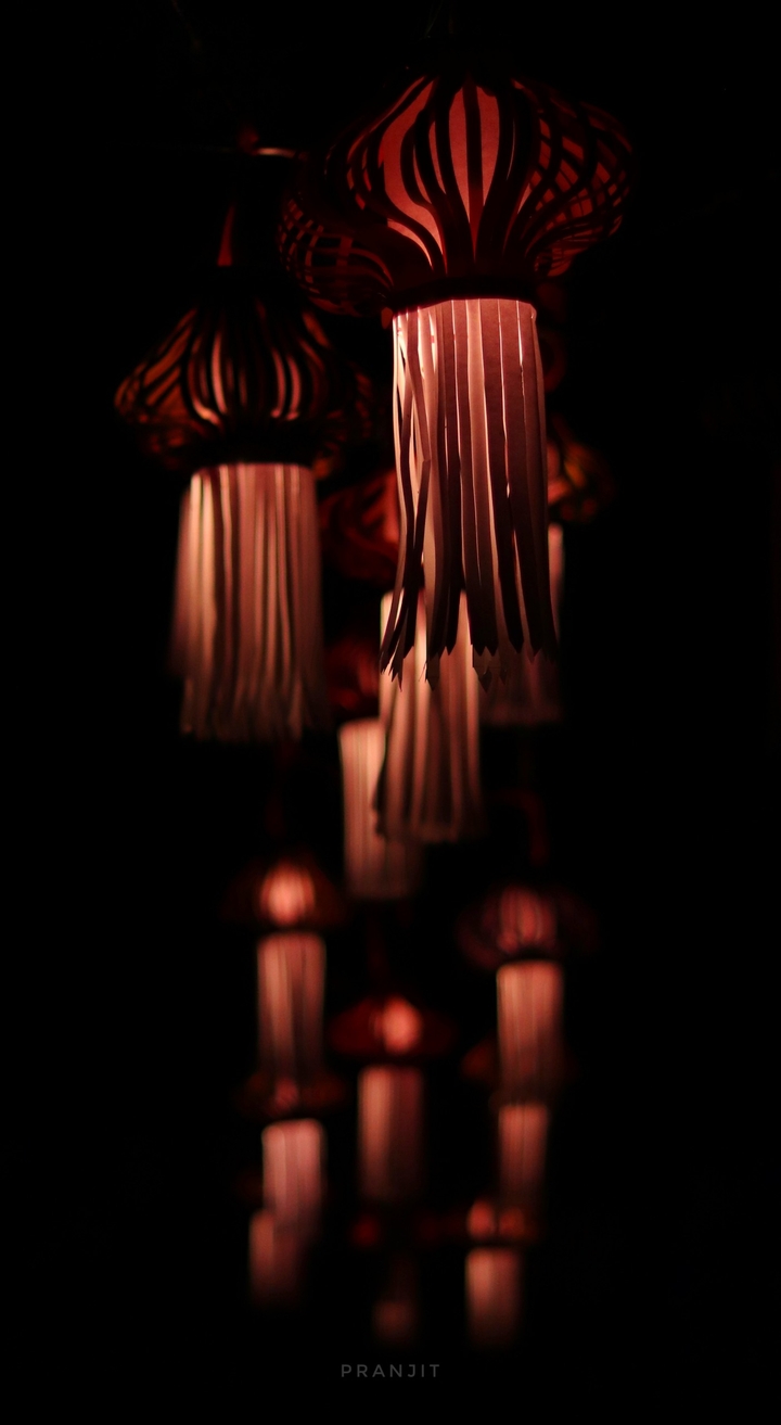 Festive Lights