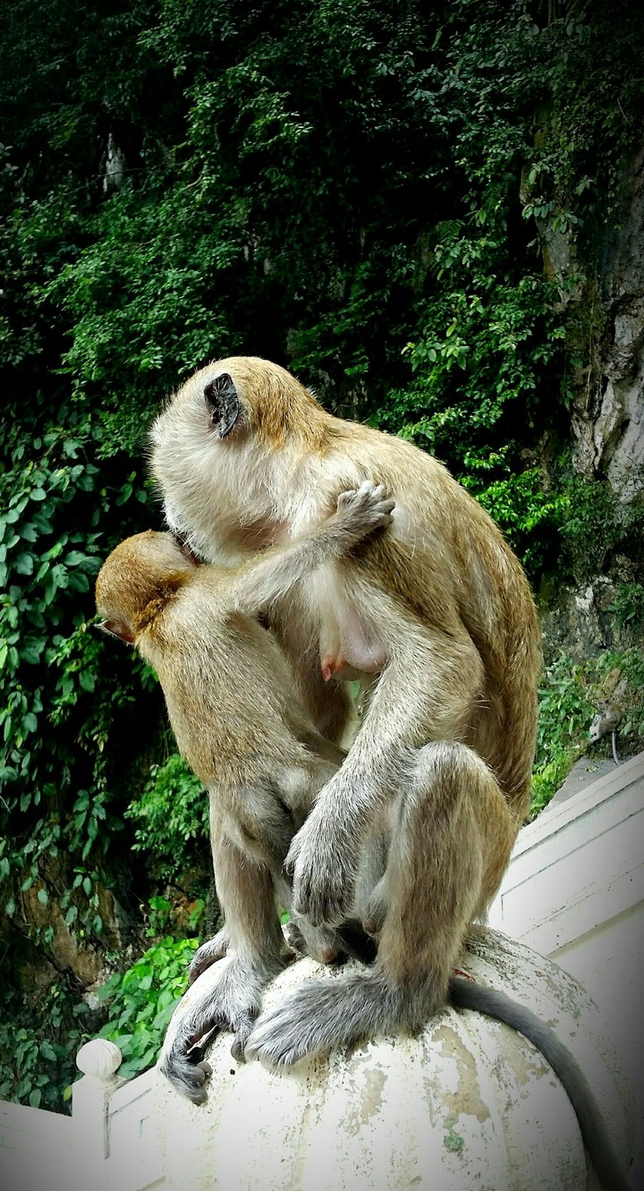 malaysia