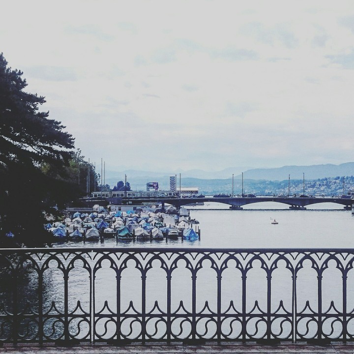 bridge